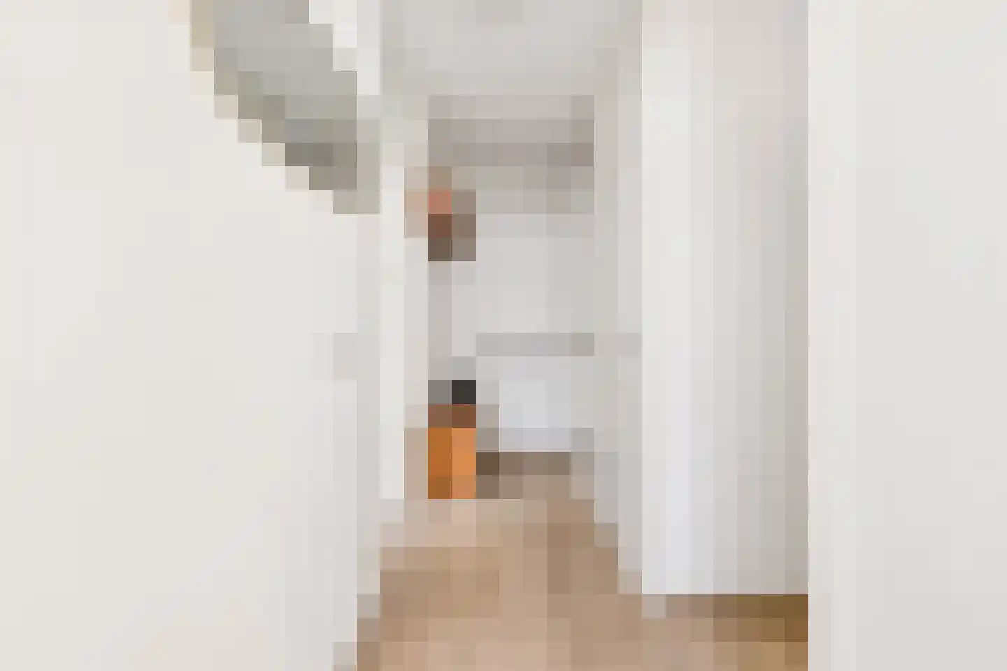 Koningin Emmaweg 32 Houten thumbnail 8