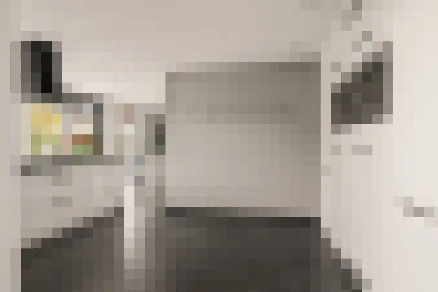 Koningin Emmaweg 60 Houten thumbnail 14