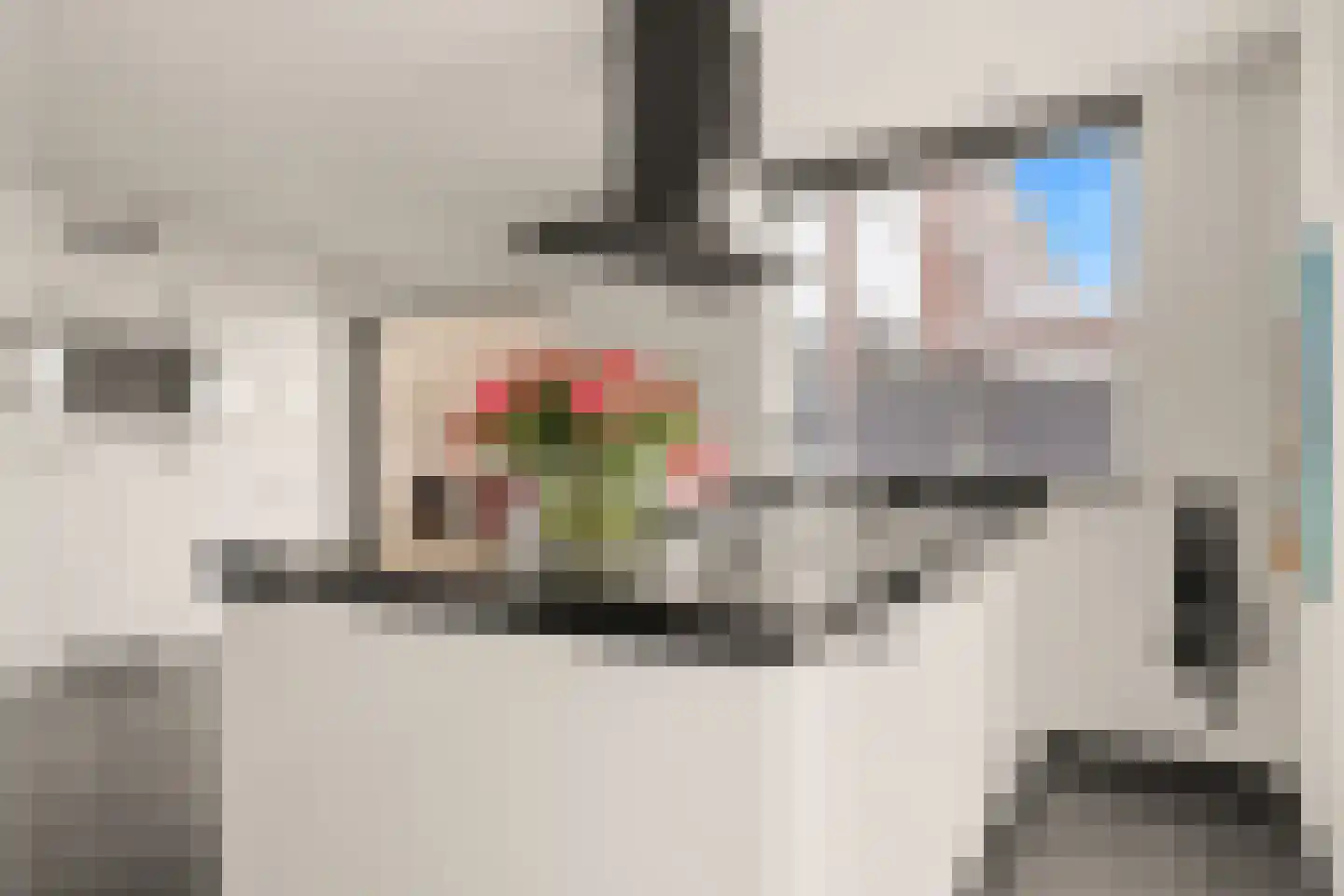 Koningin Emmaweg 60 Houten thumbnail 16