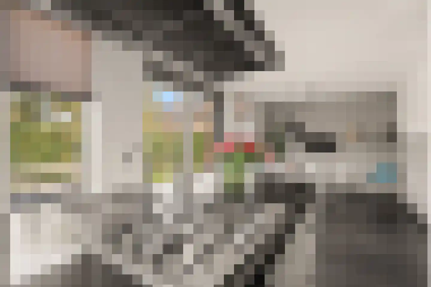 Koningin Emmaweg 60 Houten thumbnail 18