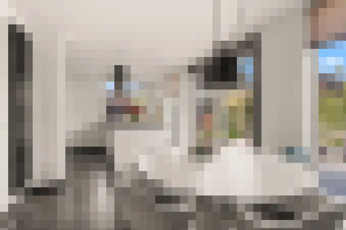 Koningin Emmaweg 60 Houten thumbnail 20
