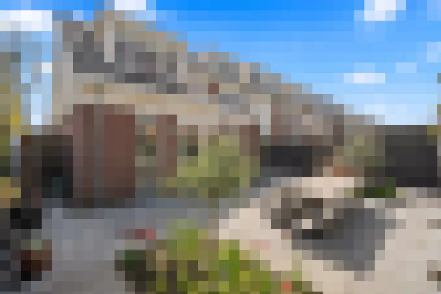 Koningin Emmaweg 60 Houten thumbnail 25