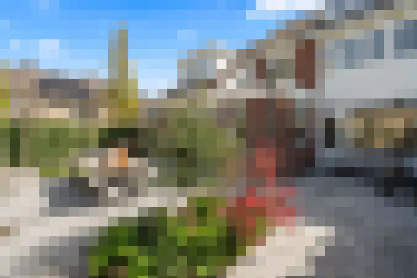 Koningin Emmaweg 60 Houten thumbnail 27