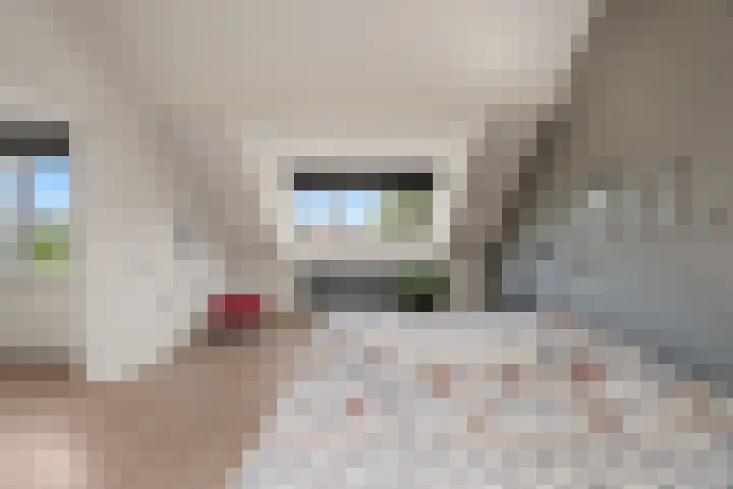 Koningin Emmaweg 60 Houten thumbnail 37