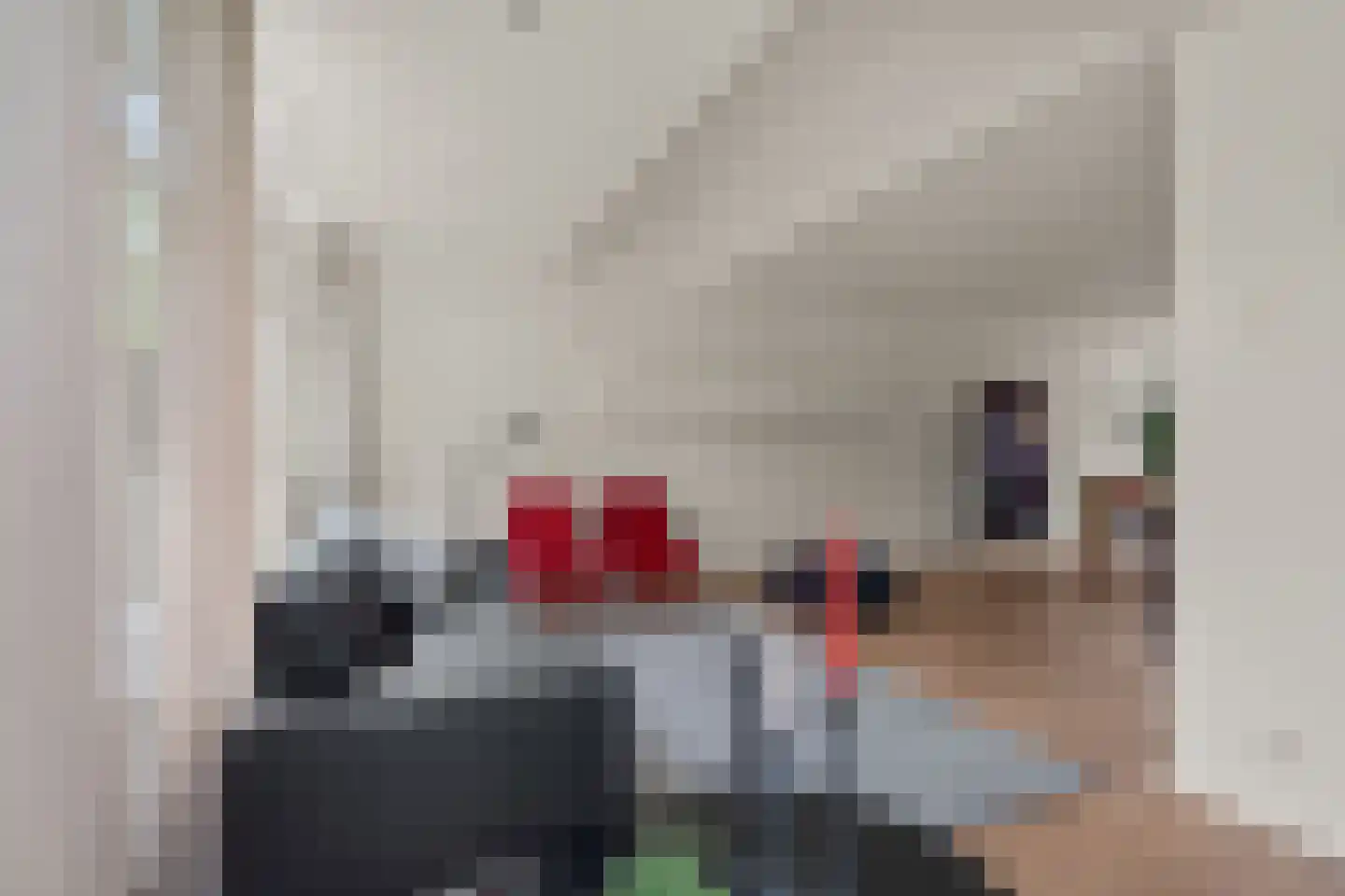 Koningin Emmaweg 60 Houten thumbnail 4