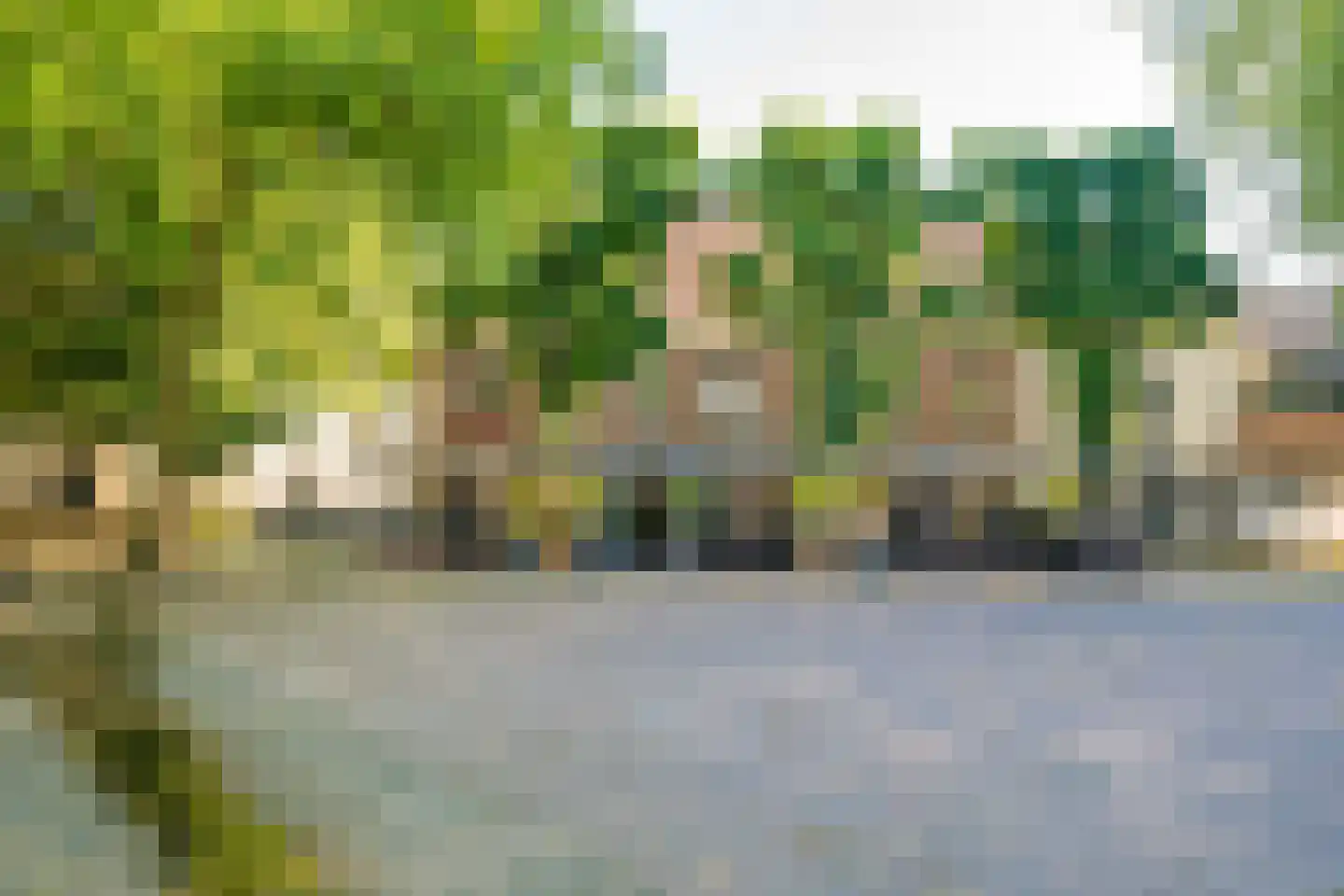 Koningin Emmaweg 60 Houten thumbnail 54