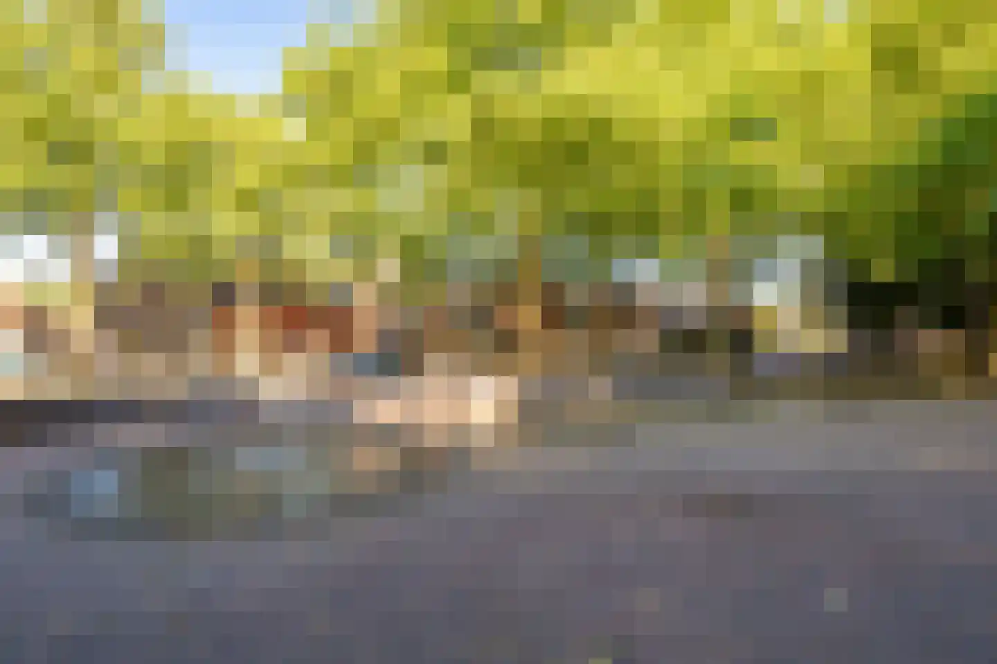 Koningin Emmaweg 60 Houten thumbnail 55