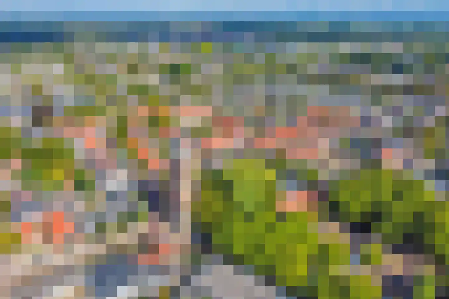 Koningin Emmaweg 60 Houten thumbnail 56