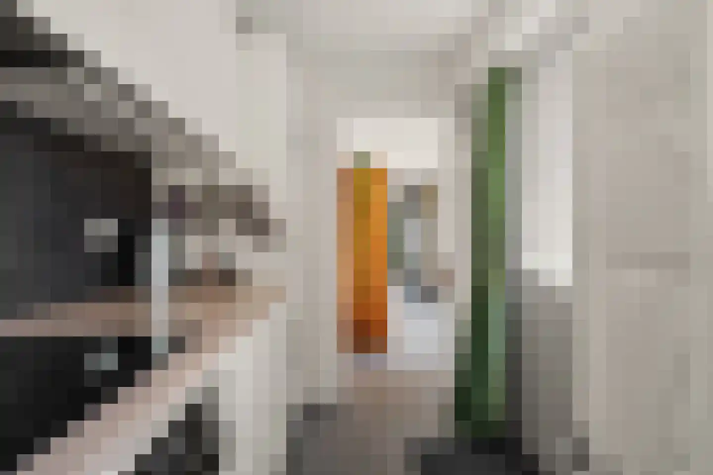 Koningin Emmaweg 83 Houten thumbnail 10