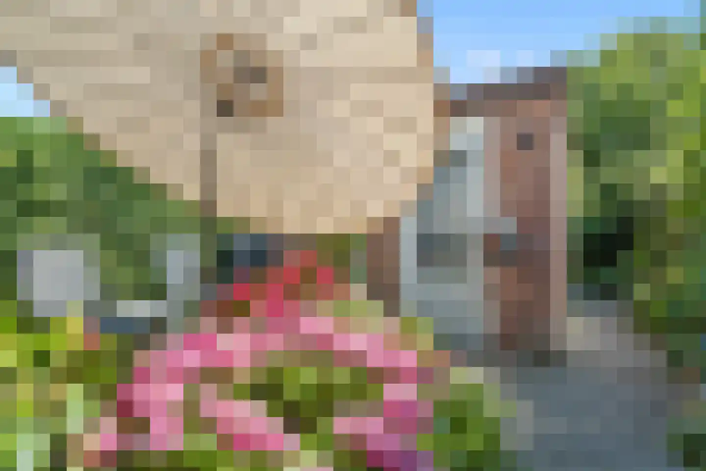 Koningin Emmaweg 83 Houten thumbnail 13