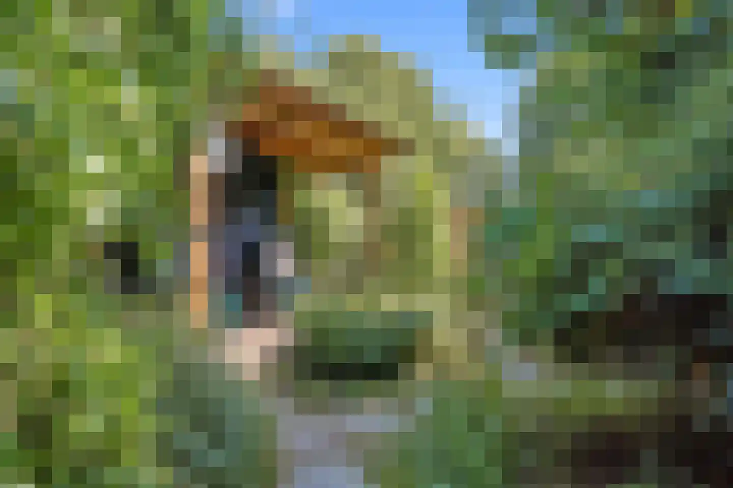 Koningin Emmaweg 83 Houten thumbnail 16