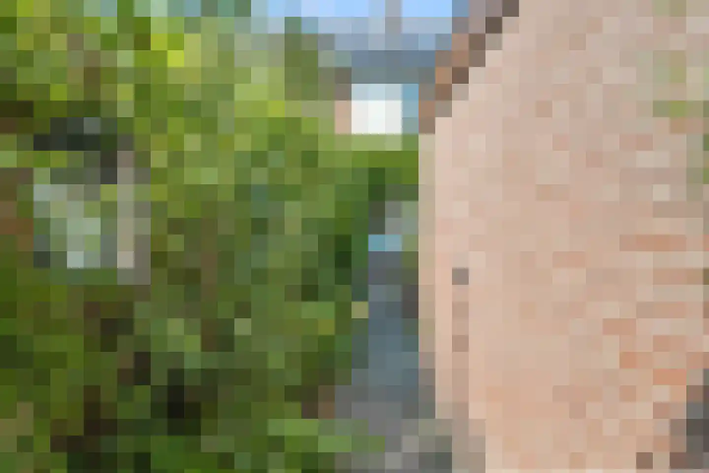 Koningin Emmaweg 83 Houten thumbnail 19