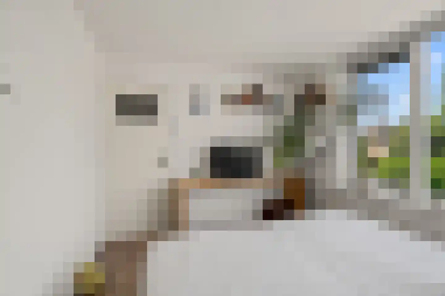 Koningin Emmaweg 83 Houten thumbnail 25