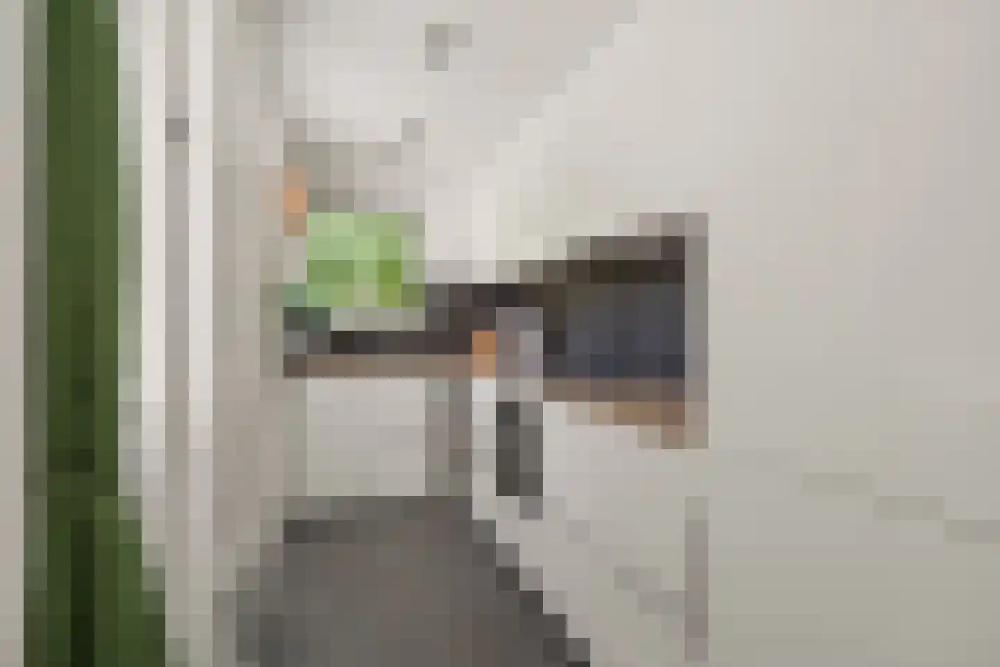 Koningin Emmaweg 83 Houten thumbnail 8
