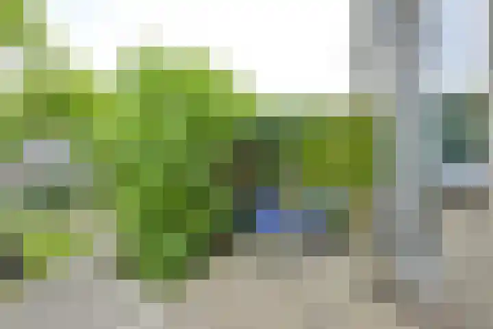 Koningin Emmaweg 88 Houten thumbnail 12