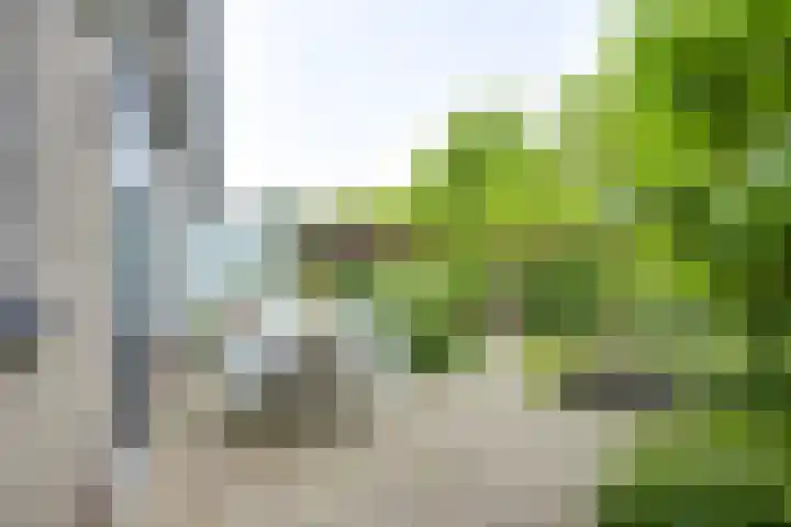 Koningin Emmaweg 88 Houten thumbnail 13