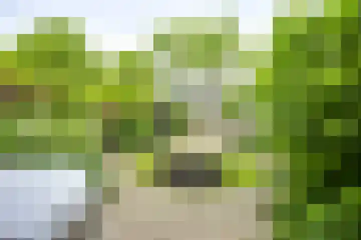 Koningin Emmaweg 88 Houten thumbnail 14