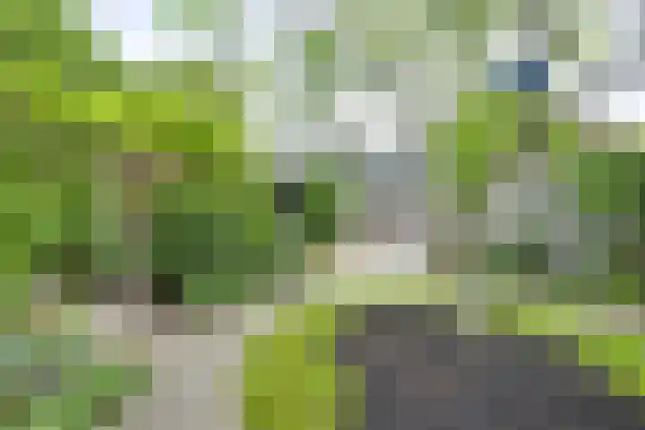 Koningin Emmaweg 88 Houten thumbnail 15