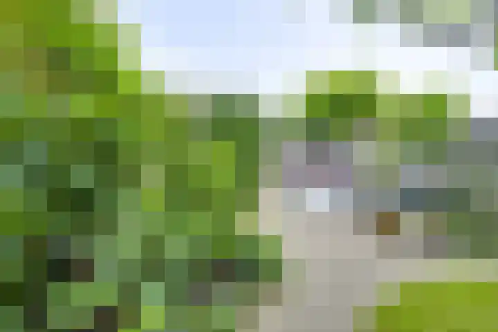 Koningin Emmaweg 88 Houten thumbnail 16