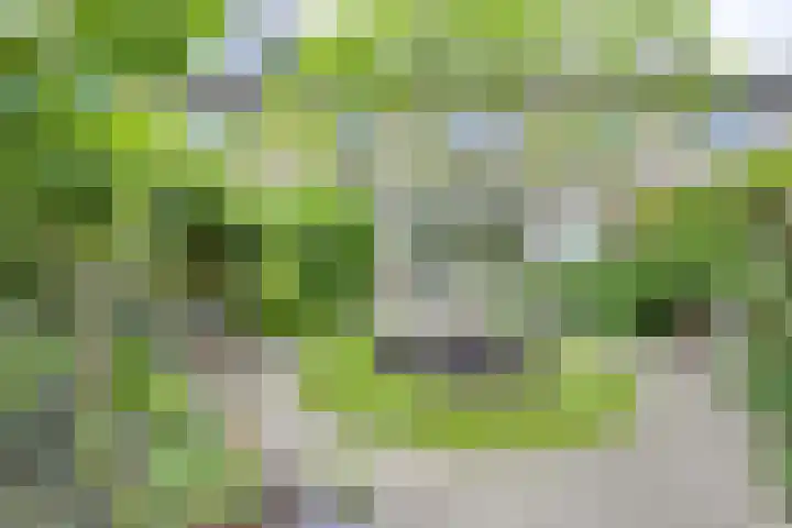 Koningin Emmaweg 88 Houten thumbnail 18