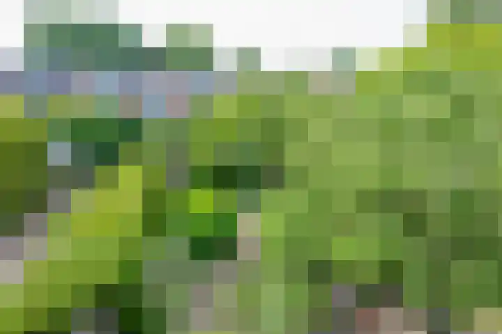 Koningin Emmaweg 88 Houten thumbnail 30