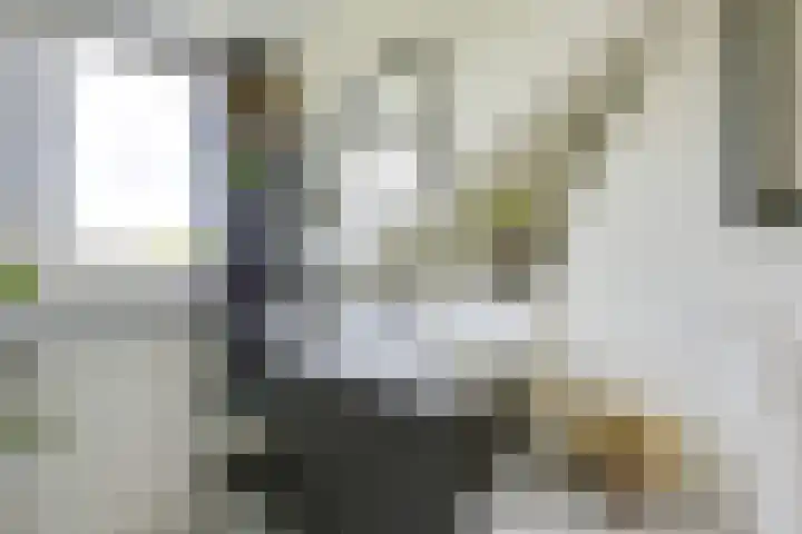Koningin Emmaweg 88 Houten thumbnail 32