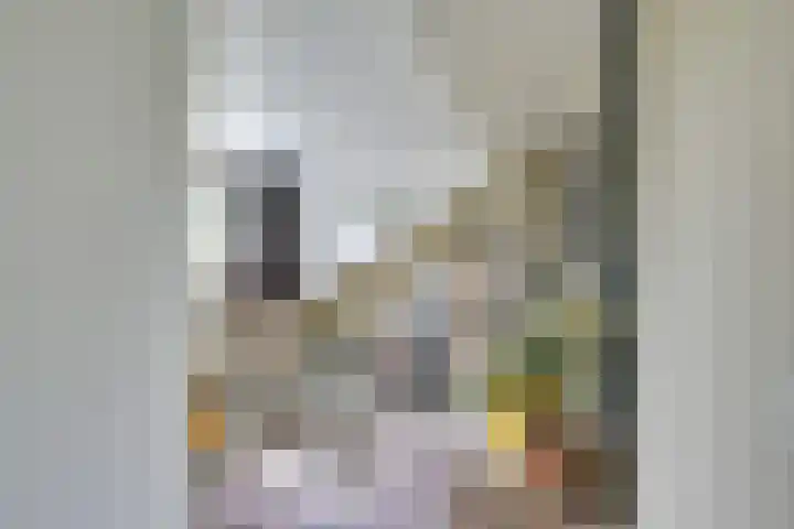 Koningin Emmaweg 88 Houten thumbnail 36