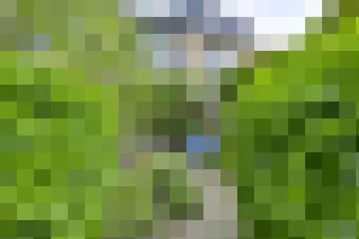 Koningin Emmaweg 88 Houten thumbnail 39