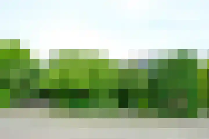 Koningin Emmaweg 88 Houten thumbnail 40