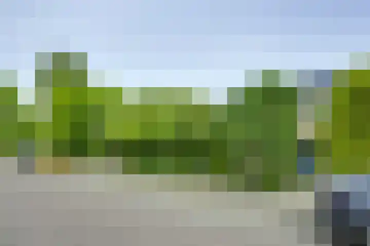 Koningin Emmaweg 88 Houten thumbnail 41