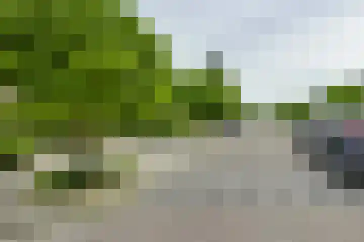 Koningin Emmaweg 88 Houten thumbnail 42