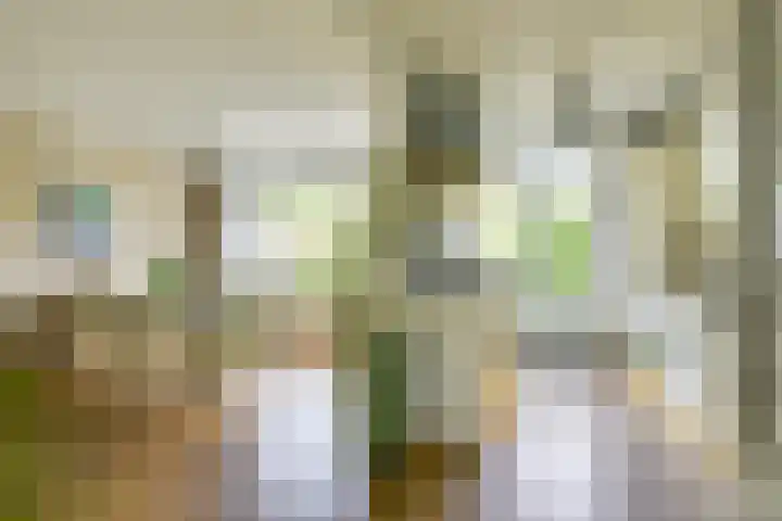 Koningin Emmaweg 88 Houten thumbnail 5