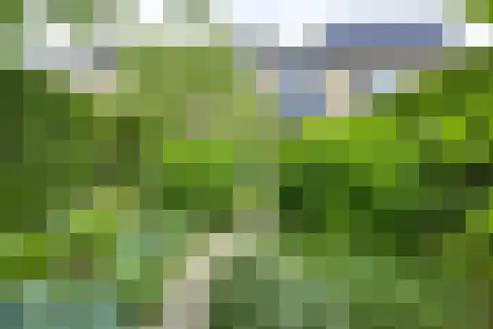 Koningin Emmaweg 88 Houten thumbnail 58