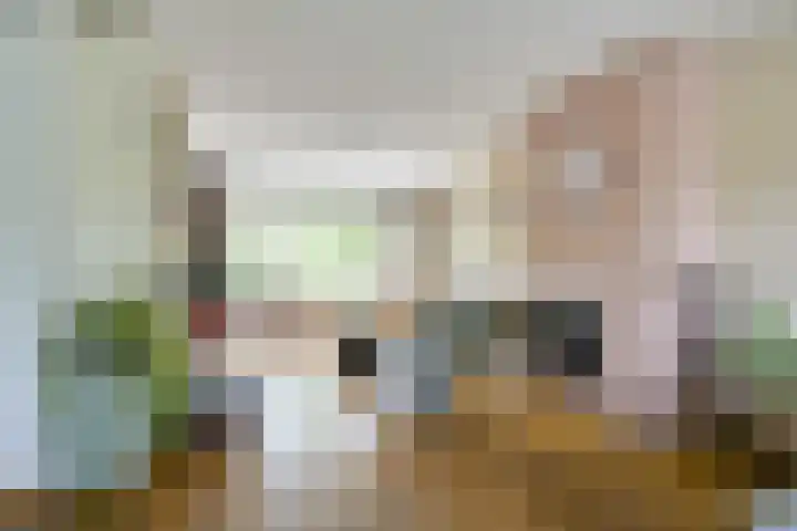 Koningin Emmaweg 88 Houten thumbnail 6