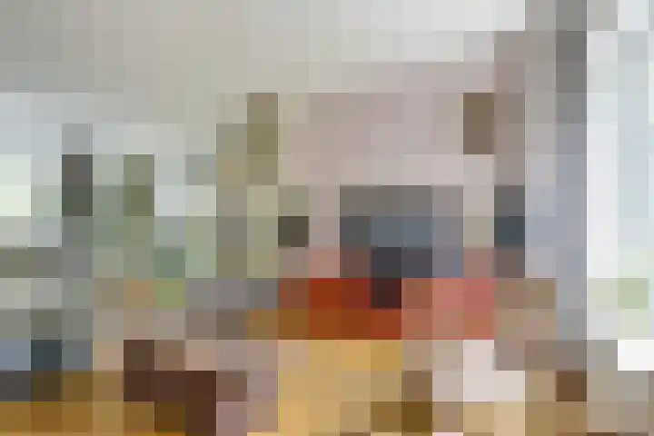 Koningin Emmaweg 88 Houten thumbnail 9