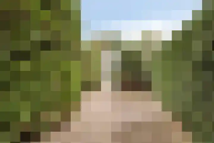 Koningin Emmaweg 90 Houten thumbnail 11