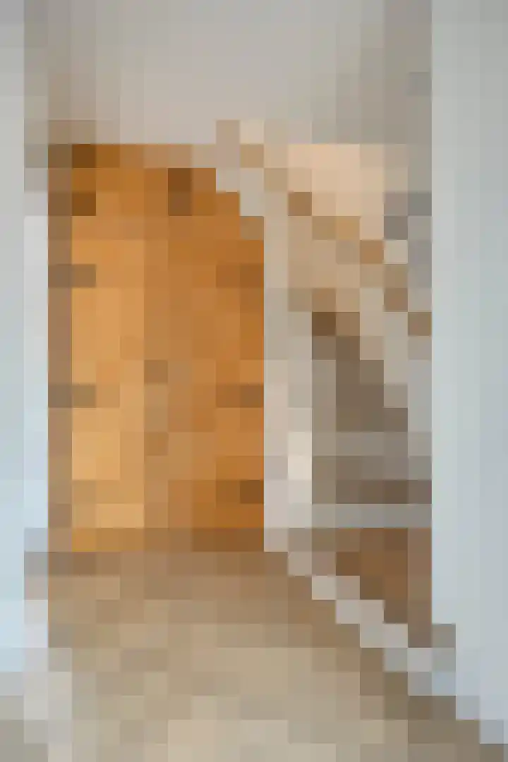 Koningin Emmaweg 90 Houten thumbnail 13