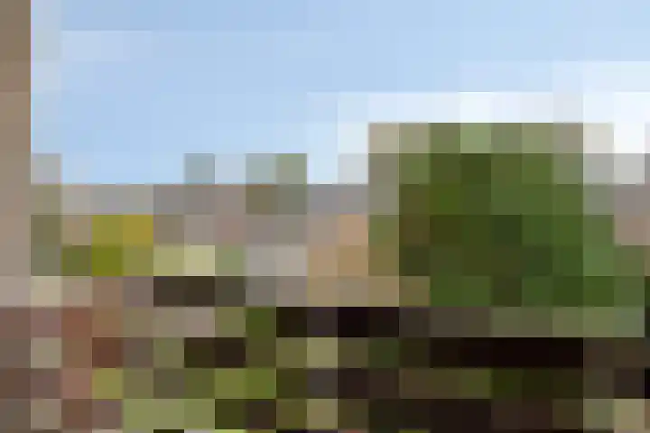 Koningin Emmaweg 90 Houten thumbnail 24