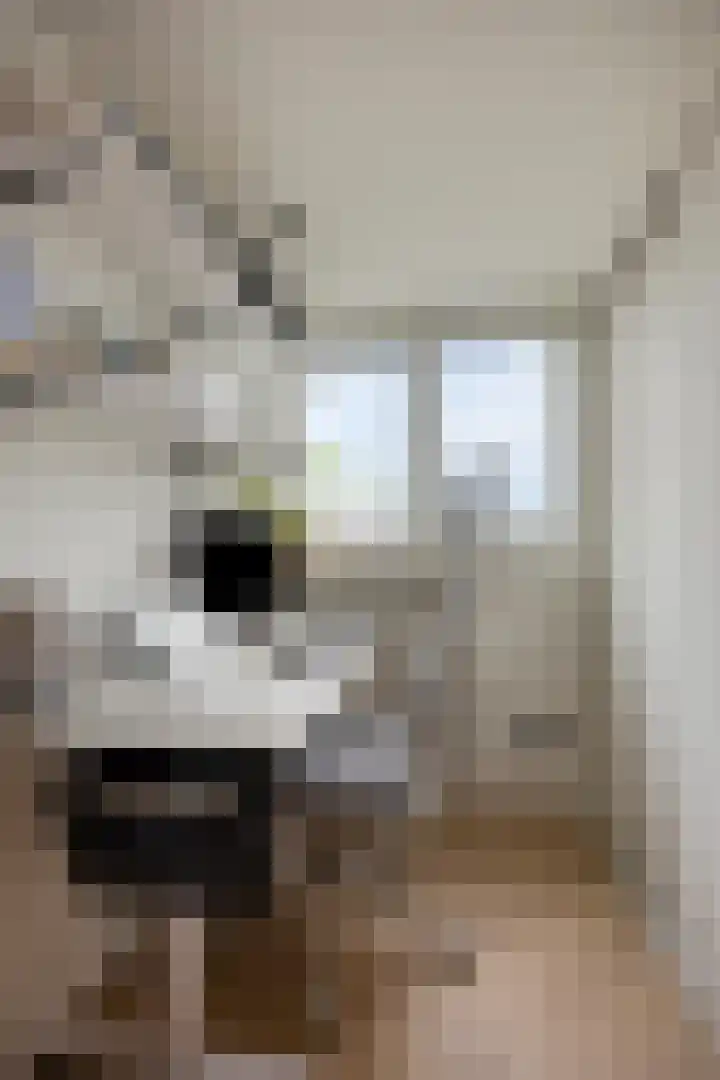 Koningin Emmaweg 90 Houten thumbnail 27