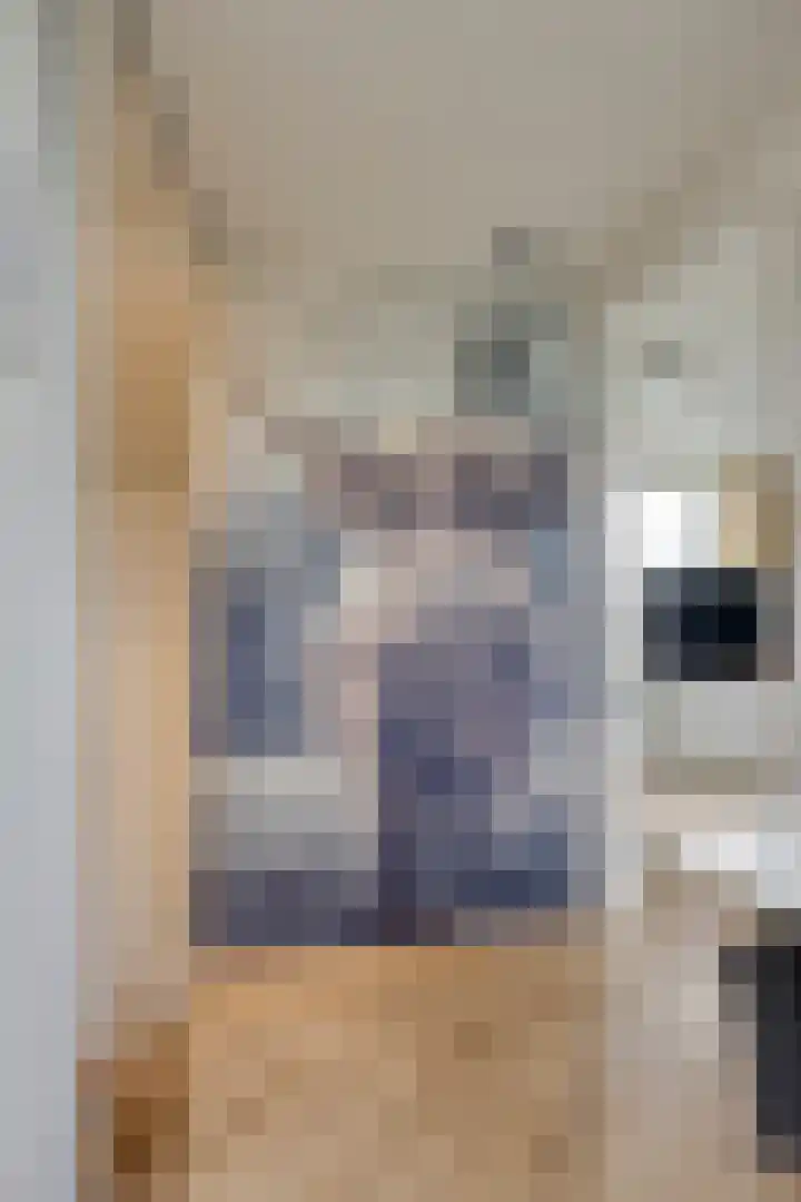 Koningin Emmaweg 90 Houten thumbnail 28