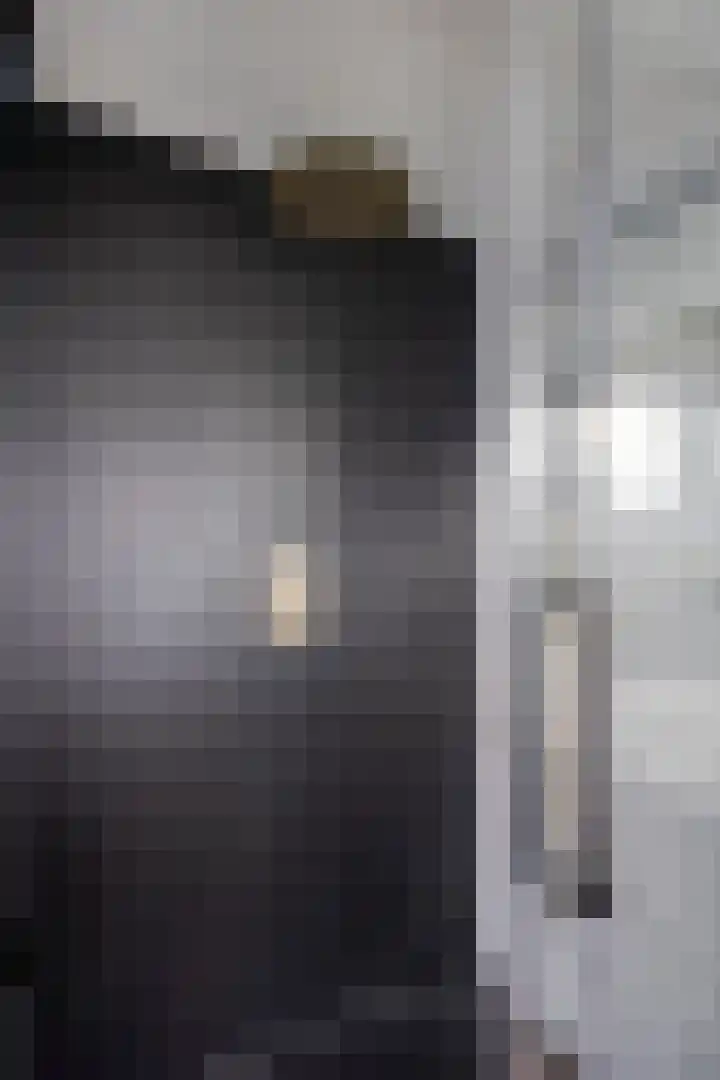 Koningin Emmaweg 90 Houten thumbnail 32