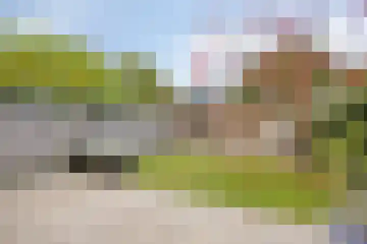 Koningin Emmaweg 90 Houten thumbnail 34