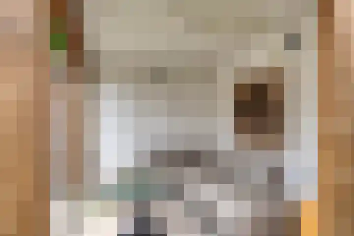 Koningin Emmaweg 90 Houten thumbnail 35