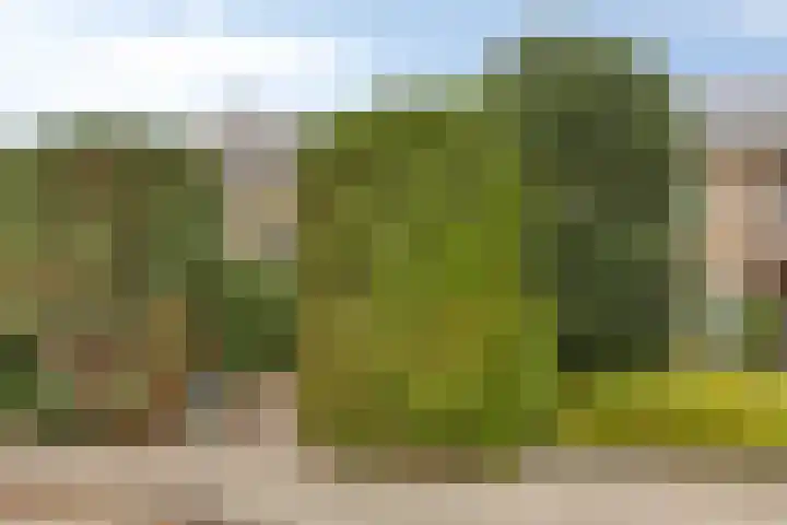Koningin Emmaweg 90 Houten thumbnail 36