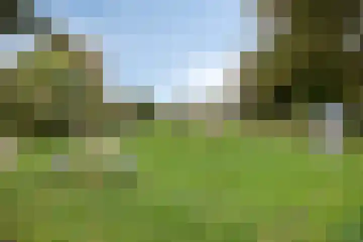 Koningin Emmaweg 90 Houten thumbnail 38