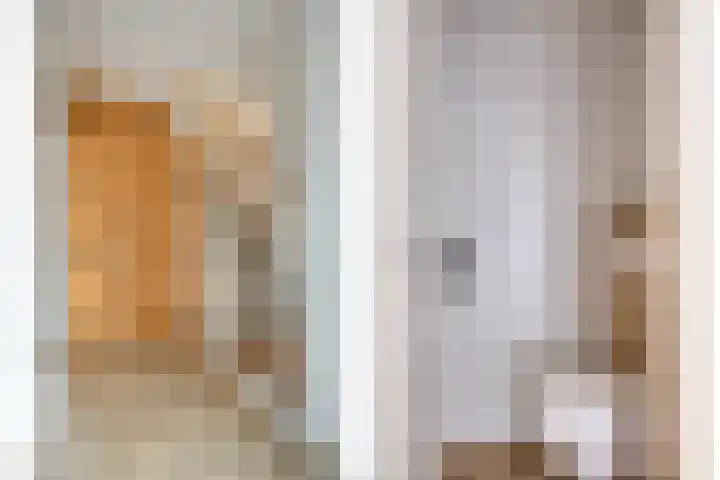 Koningin Emmaweg 90 Houten thumbnail 4