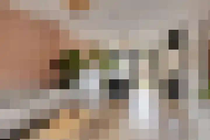 Koningin Emmaweg 90 Houten thumbnail 5