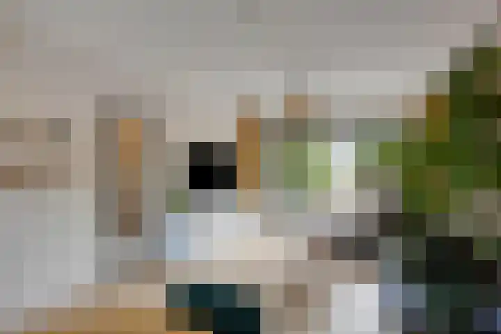 Koningin Emmaweg 90 Houten thumbnail 6