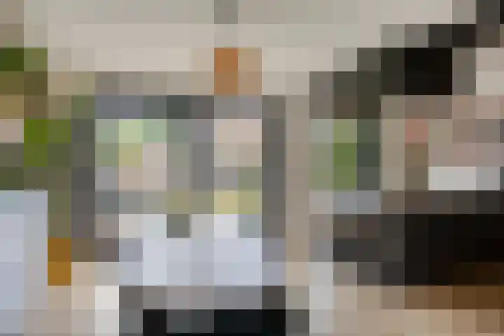 Koningin Emmaweg 90 Houten thumbnail 8