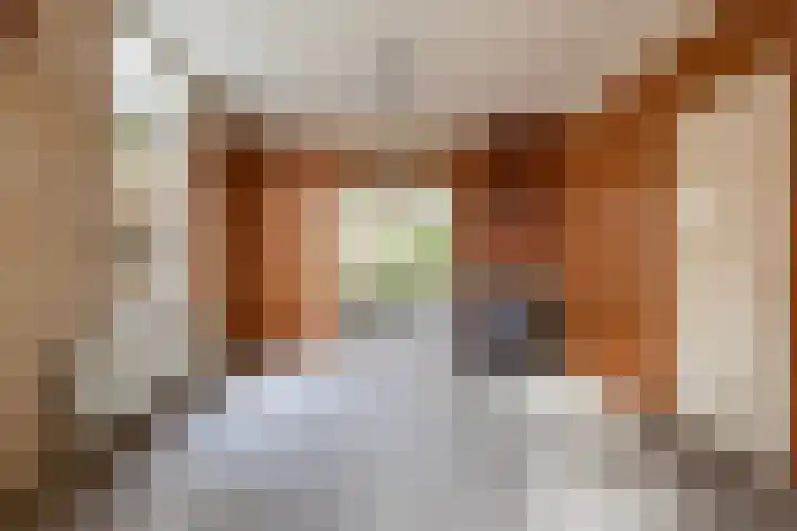 Koningin Hortenselaan 16 Apeldoorn thumbnail 10